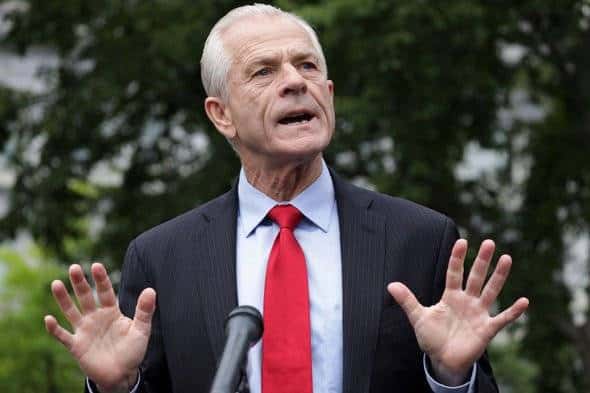 ‘Wrong About Everything’: Peter Navarro Tears Into Fauci In Blistering Op-Ed