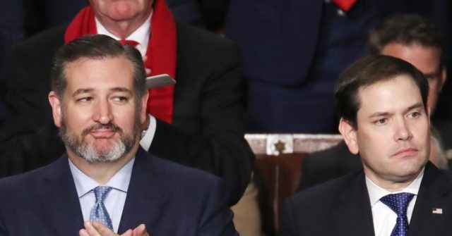 China Sanctions Cruz, Rubio, Others Over Xinjiang Legislation