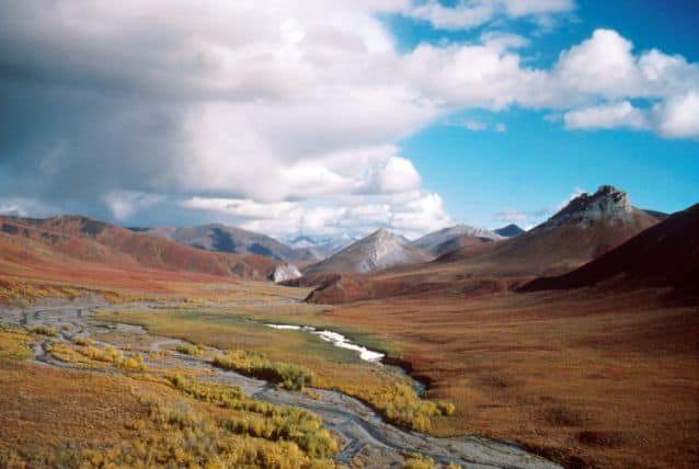 Interior Secretary To Approve Oil Drilling In Alaska’s Arctic Refuge