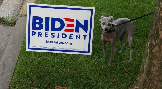 G. Bardmesser: Where The Hell Are All The Biden Supporters In My Neighborhood?