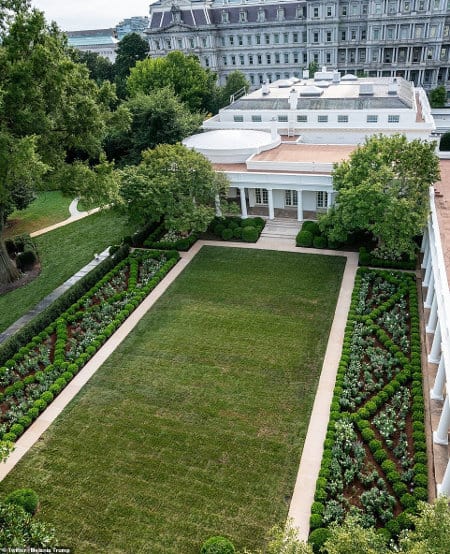 Revealed: Melania Trump’s New White House Rose Garden