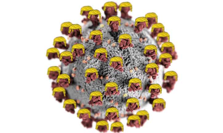 TRUMP DEVELOPING COVID ANTIBODIES…