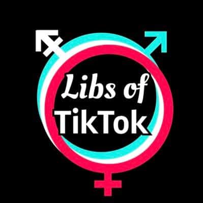 German Government Funds ‘Research’ Project That Doxxed Libs Of Tik Tok