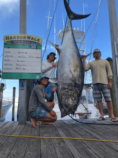 Florida Fishermen Catch 832-Pound Bluefin Tuna