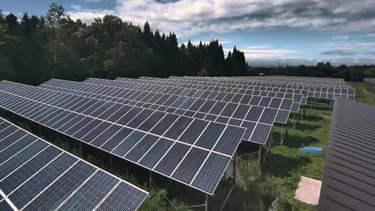 Report: Summer Blackouts Inevitable As Renewables Struggle To Replace Reliable Energy