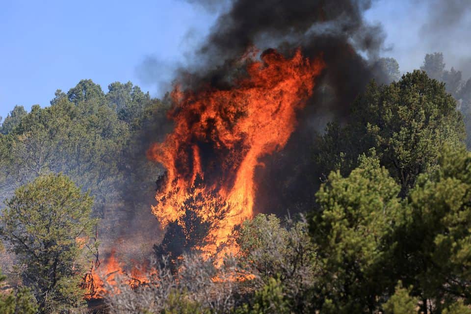 Forest Service Says It Started All Of New Mexico’s Largest Wildfire