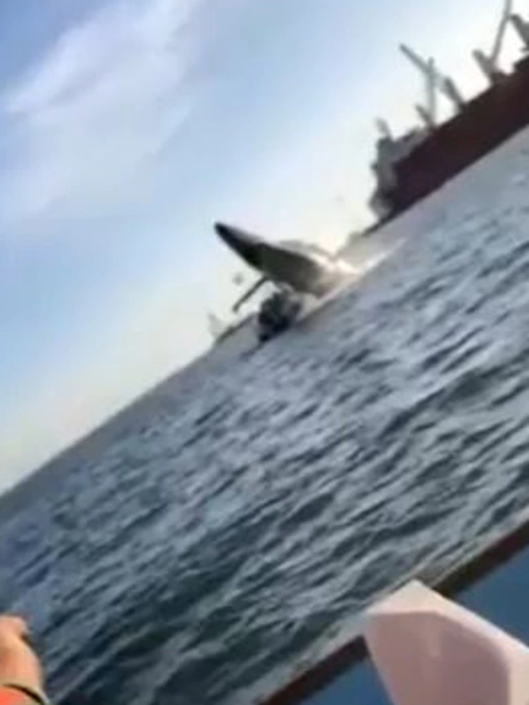 Watch: Breaching Whale Lands On Boat, Injuring Passengers
