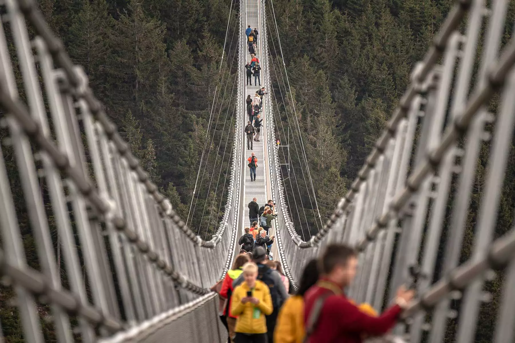 The World’s Longest Pedestrian Suspension Bridge Opens In Czech Republic