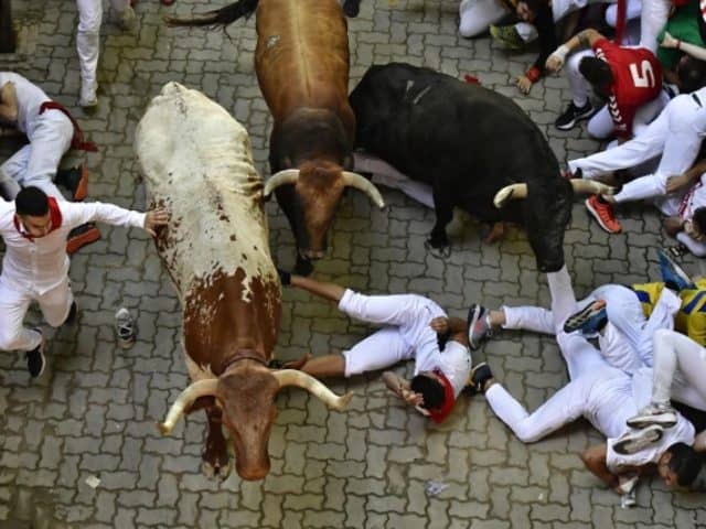 Florida Man Gored During Running Of The Bulls In Pamplona, Spain