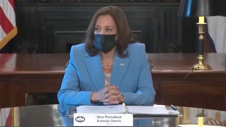 Kamala Harris: ‘My Pronouns Are She And Her, And I Am A Woman Sitting At The Table Wearing A Blue Suit.’