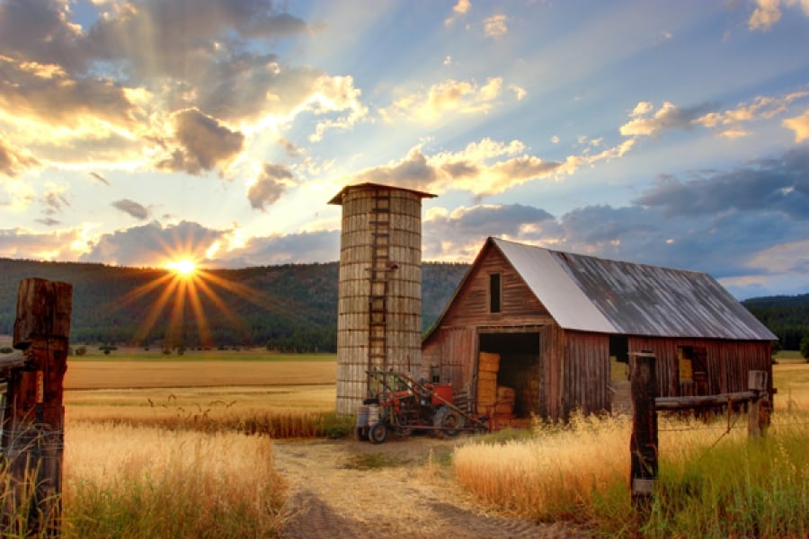 Inflation Hammering Rural America, 91% Of Income Used Just To Live, Study Finds