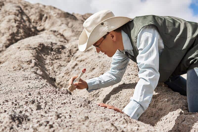 Woke College Professors Call On Archeologists To Stop Identifying Ancient Human Remains By Gender