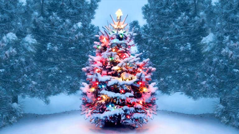 Major Winter Storm On Track For Christmas Week
