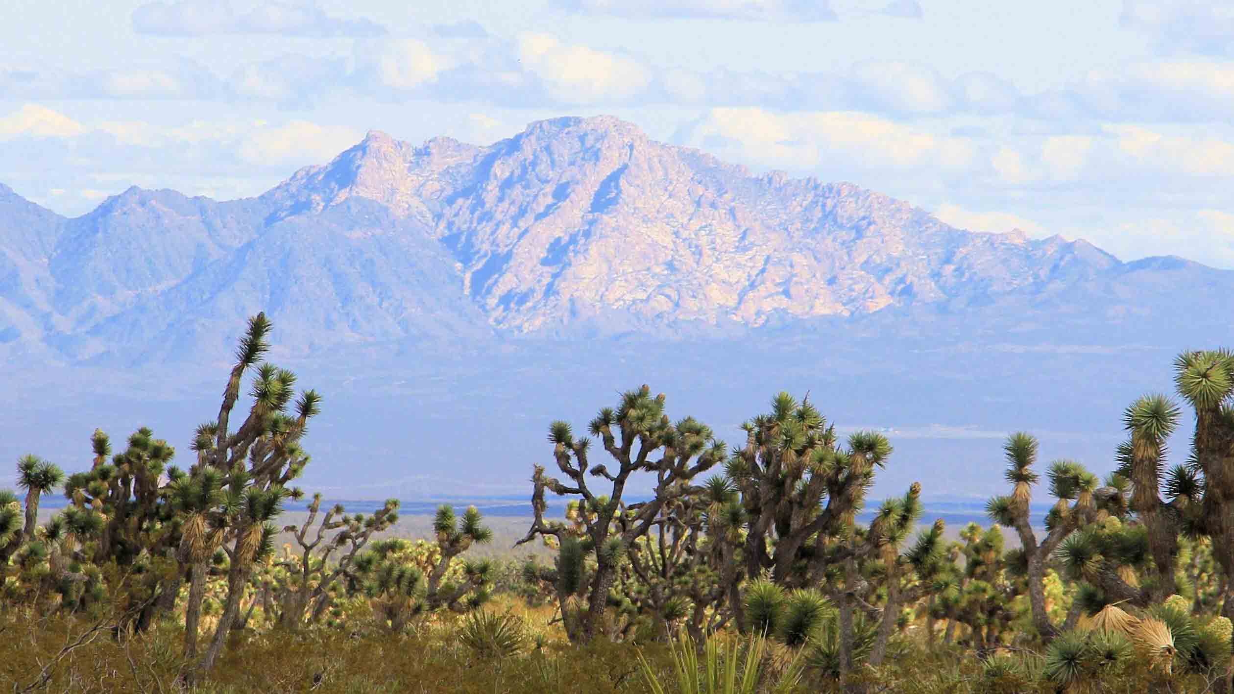 Biden To Designate Two New National Monuments, In Nevada And Texas
