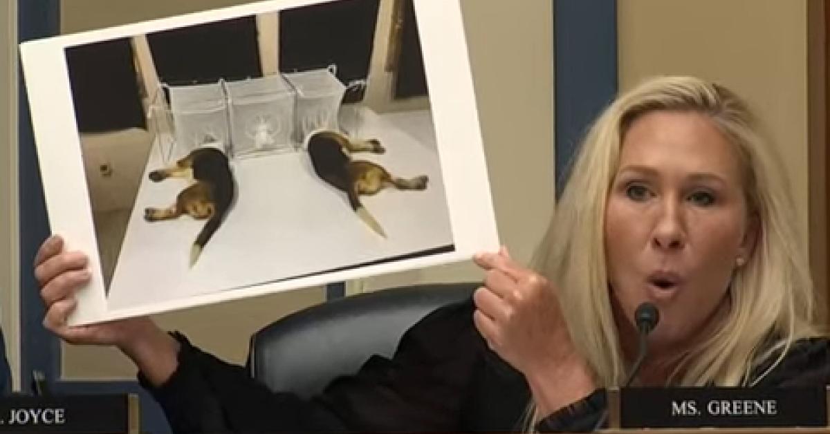 Fauci’s Ruff Day: Ex-NIAID Director Passes Buck On Puppy Experiments, Weak Evidence For COVID Rules