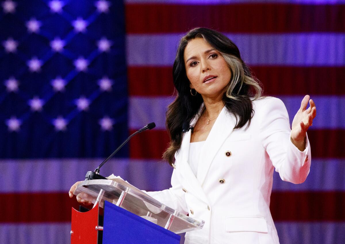 Tulsi Gabbard DNI Confirmation Hearing Set For Jan. 30