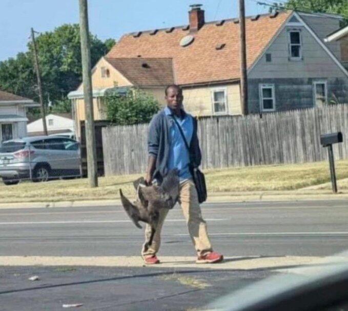 “Can’t Take It Anymore”: Residents Of Springfield Ohio Beg For Help After 20,000 Haitians Overwhelm City, Eat Local Wildlife