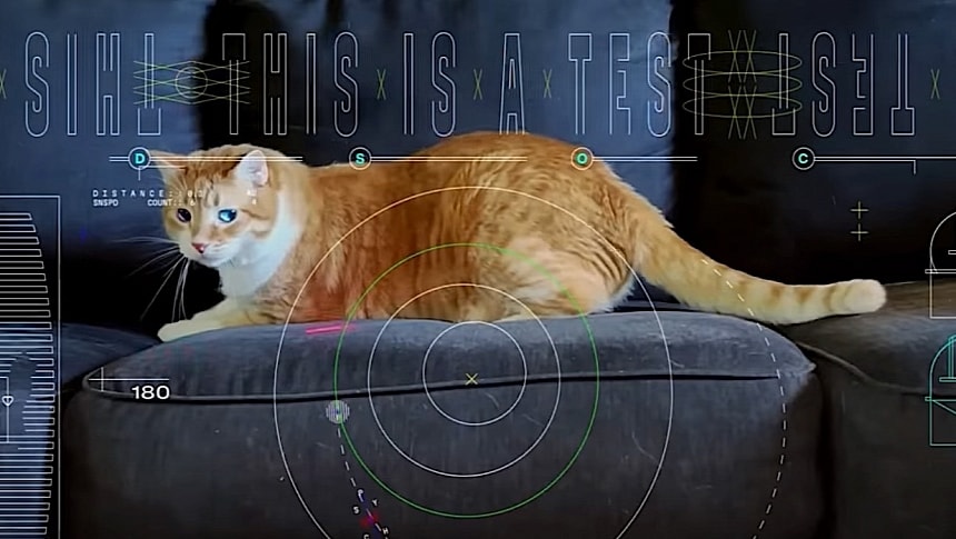 NASA Mission Beams A Cat Video Across Deep Space With Lasers