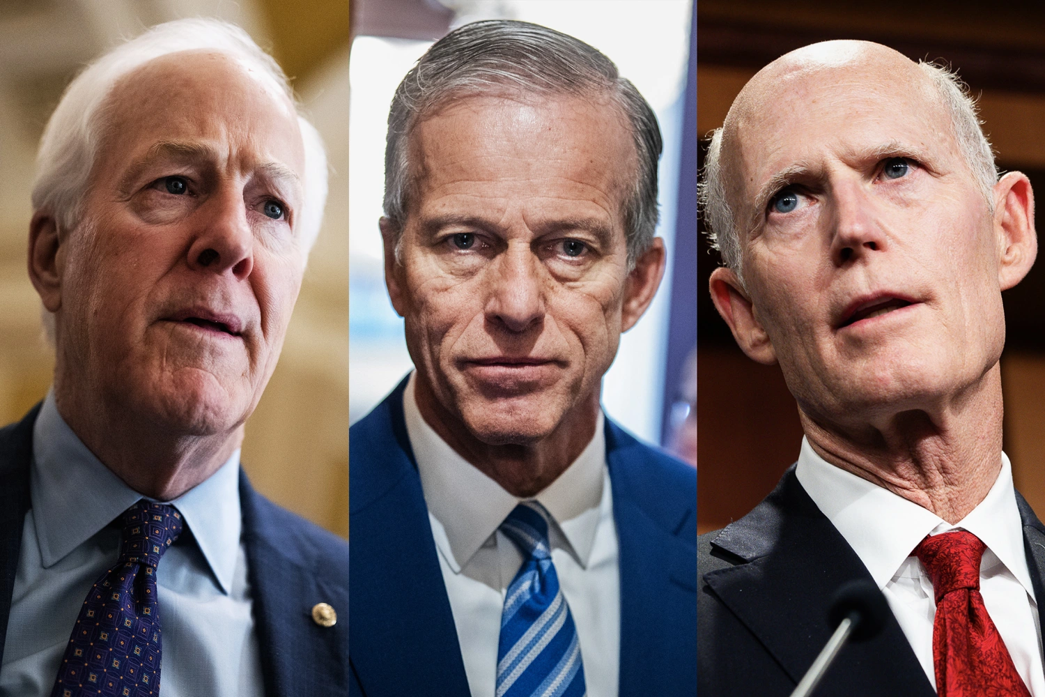 Thune To Trump: Stay Out Of Senate Leadership Vote
