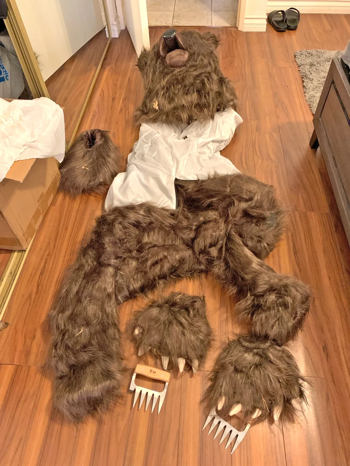 Bear That Attacked Luxury Car Was Actually Man In Costume: Insurance Investigators