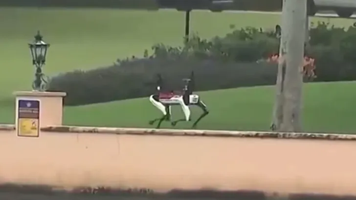 Secret Service Robot Dogs Protect Mar-a-Lago