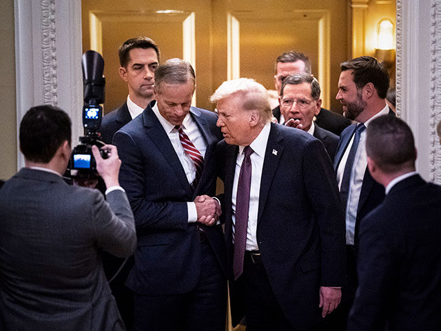 Report: Trump Previews 100 Executive Orders With Senate Republicans