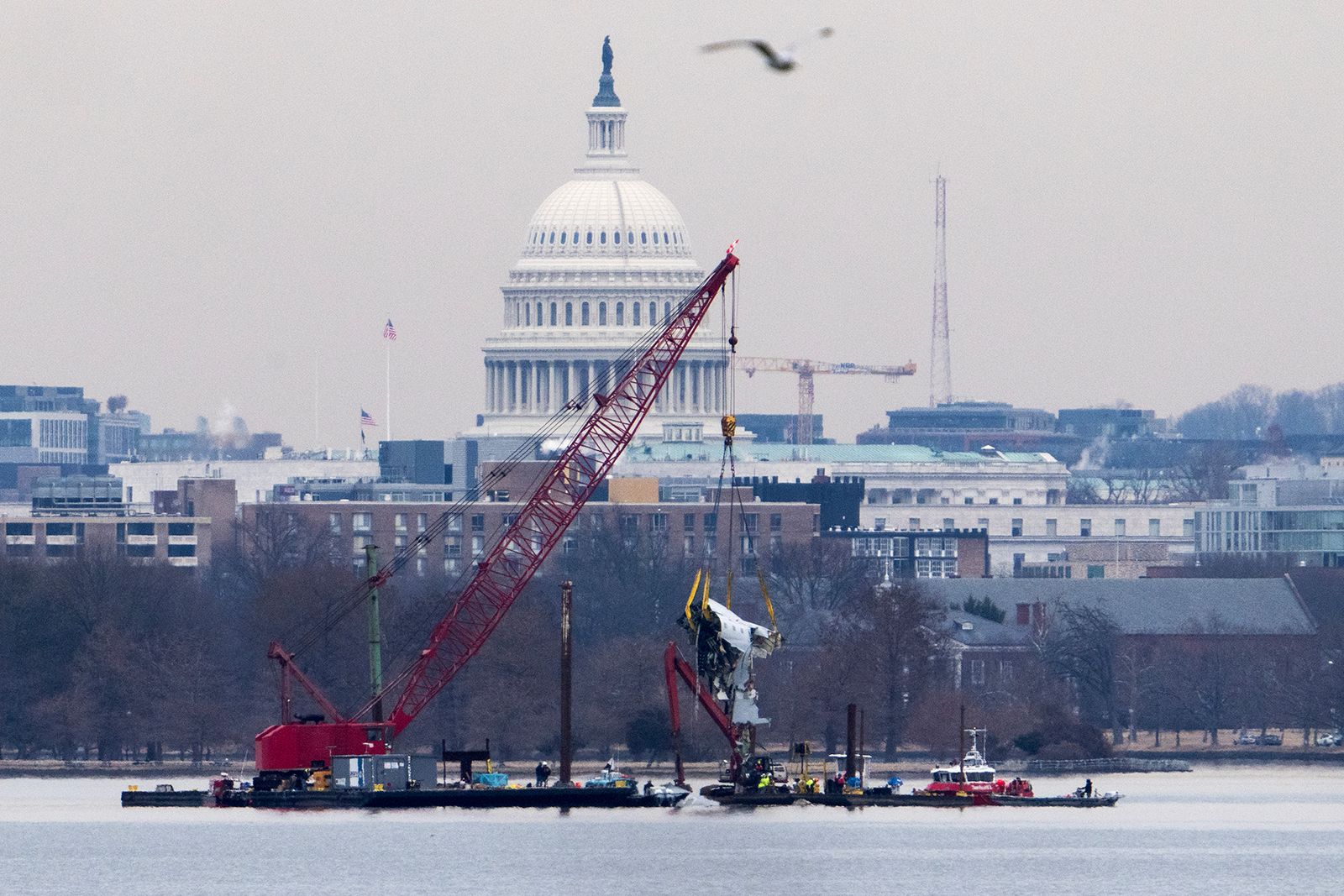 Black Hawk Pilots May Have Missed Key Instruction From Tower Before Crash: NTSB