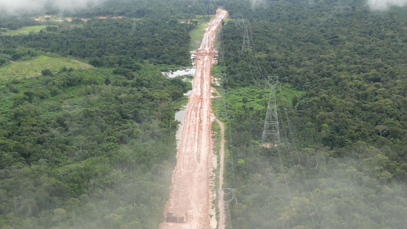 Amazon Forest Cleared for Road To Carry Globalist Elites To Climate Summit