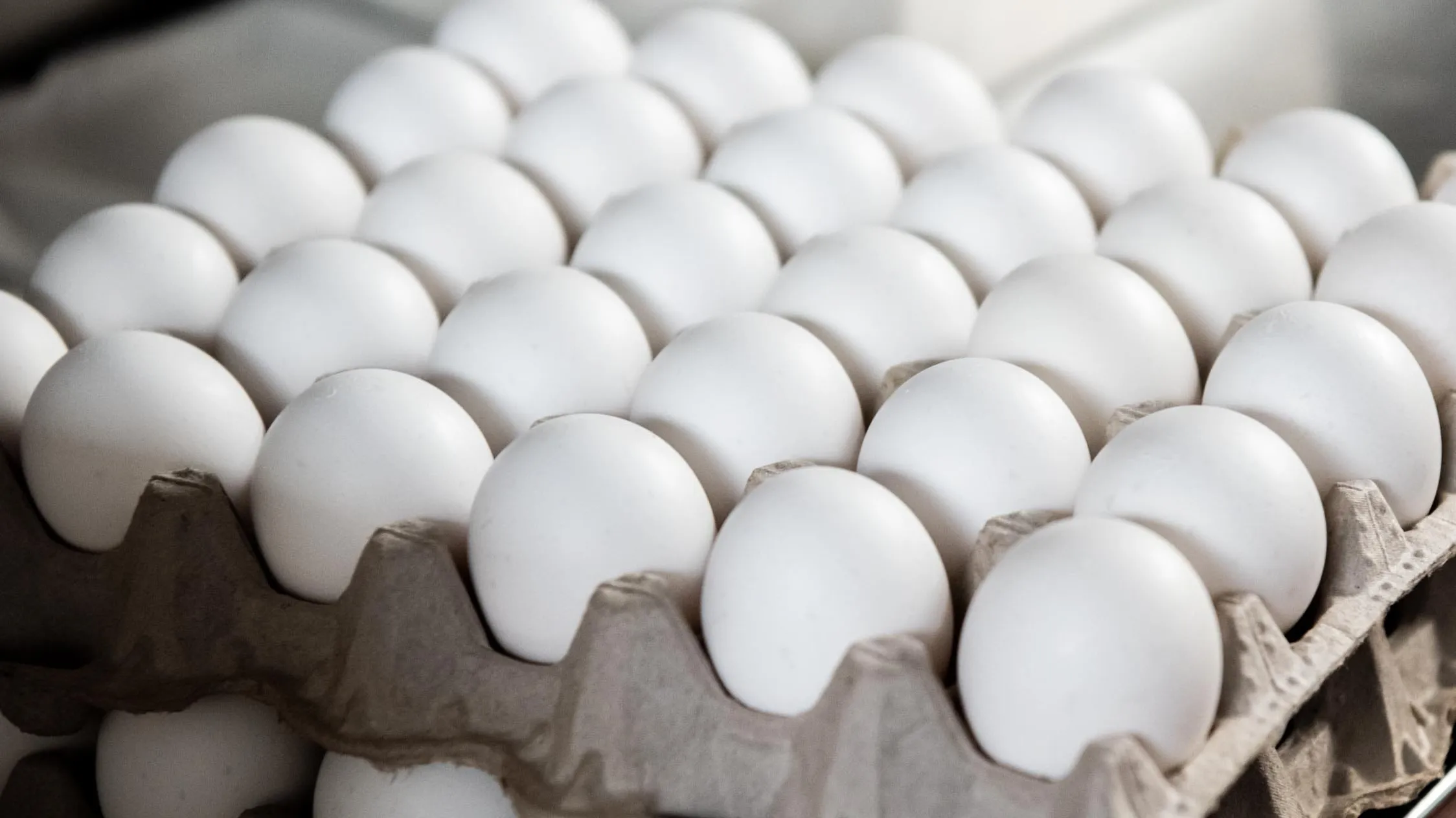 Egg Prices Plunge Nearly $2, Now Lower Than When Trump Took Office