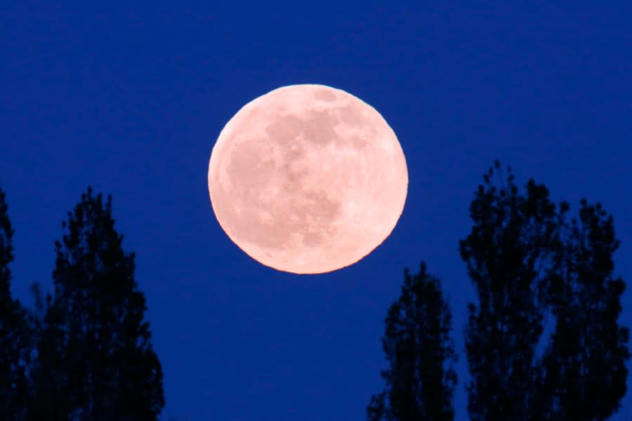 April’s Full ‘Pink Moon’ Rises This Weekend