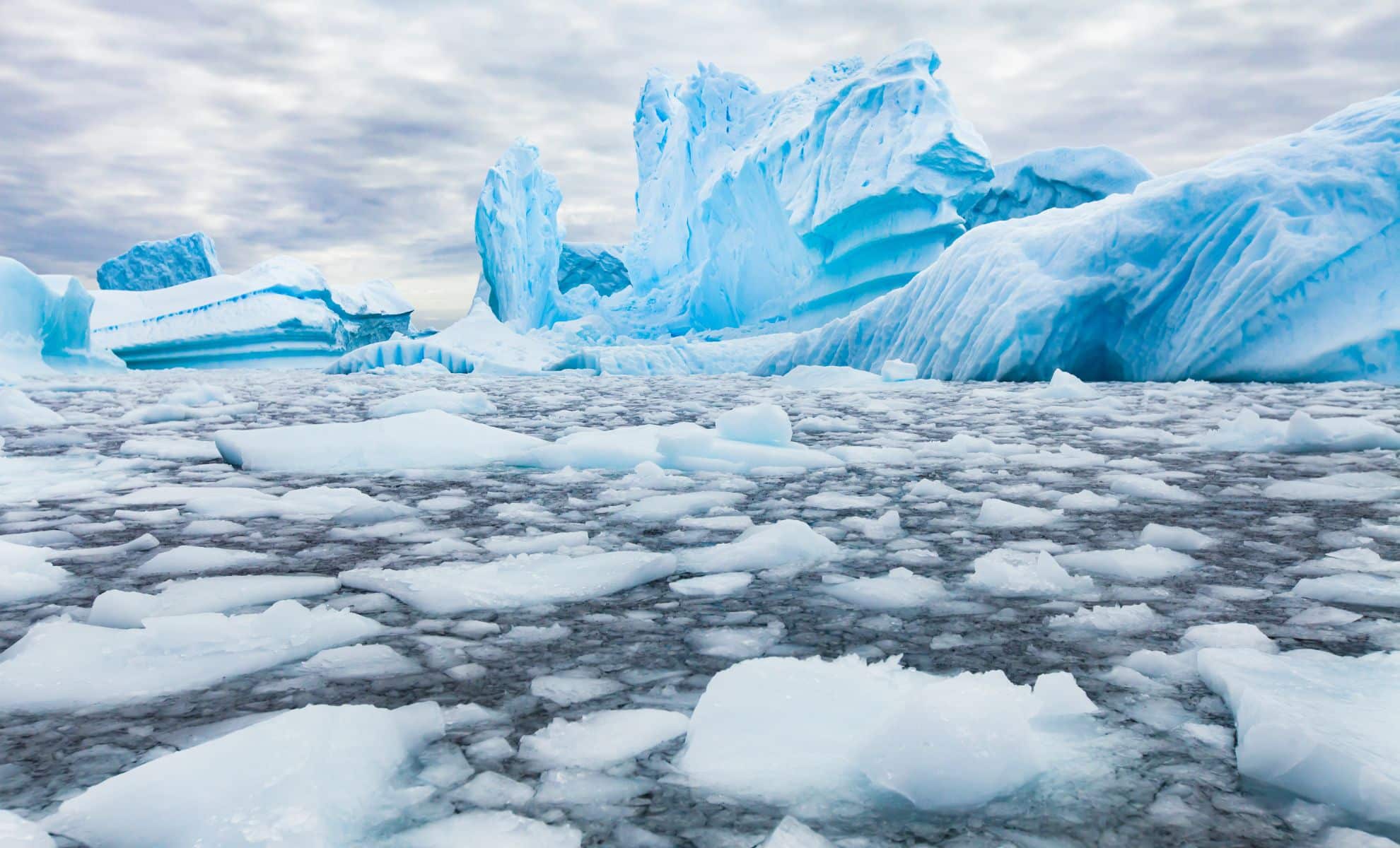 Study: Antarctica Gains Ice For First Time In Decades, Reversing Trend Of Mass Loss