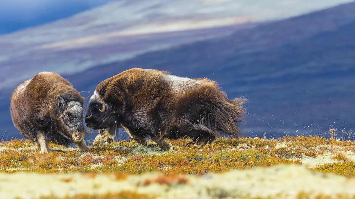 17 Unforgettable Images From The Environmental Photography Awards