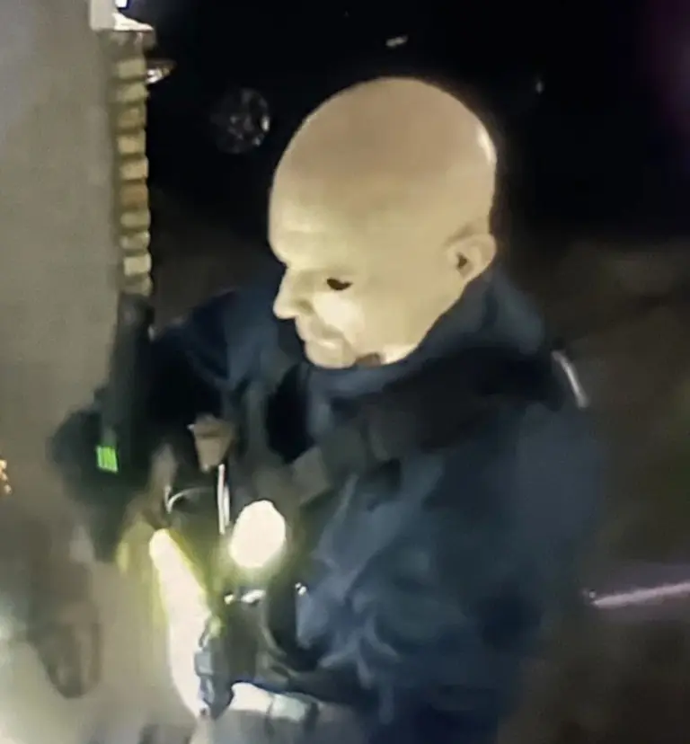 ‘Minnesota Assassin’s’ Wife Has ‘Disappeared’ After Being Caught With Guns And Cash