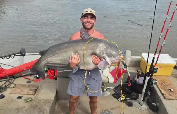 Man Catches ‘Monster’ 86-Pound Catfish From Missouri River
