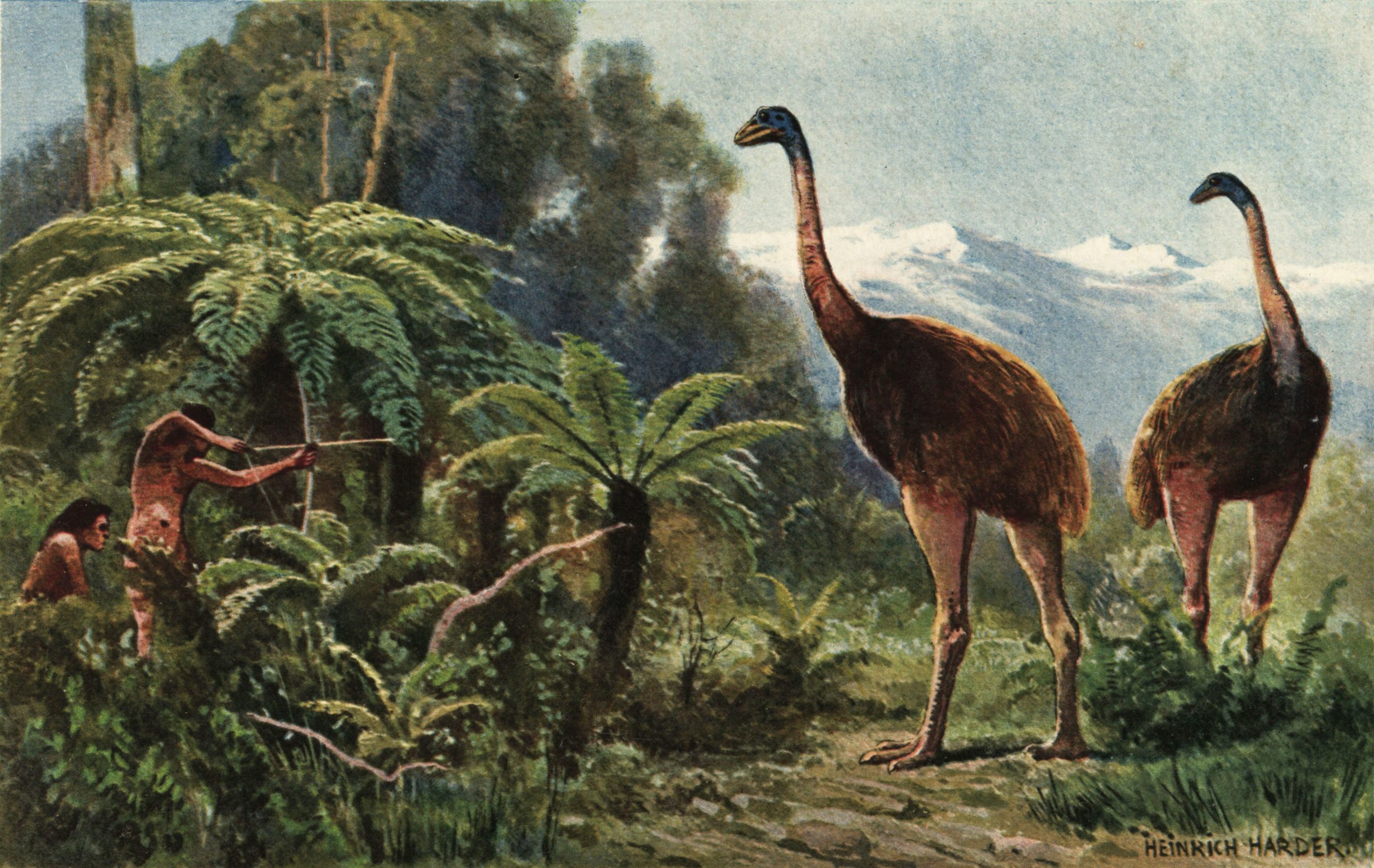 Extinct Giant Bird Being Brought Back To Life