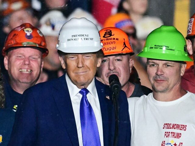 Native-Born Americans Account For 100% Of Job Gains Under Donald Trump