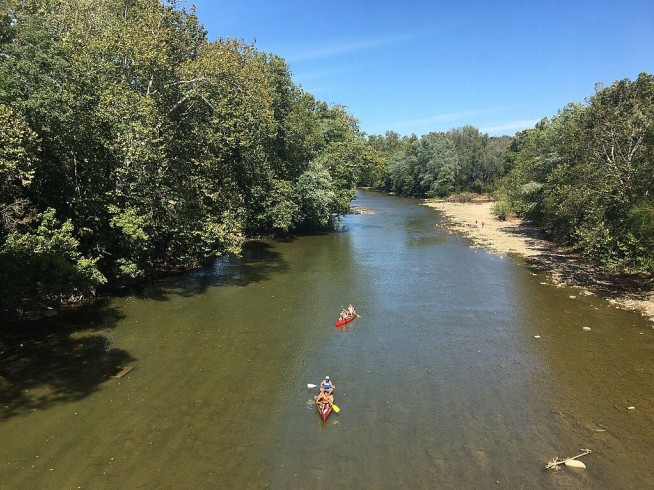 UP THE CREEK: Media Outlets Criticized For False Story On Vance