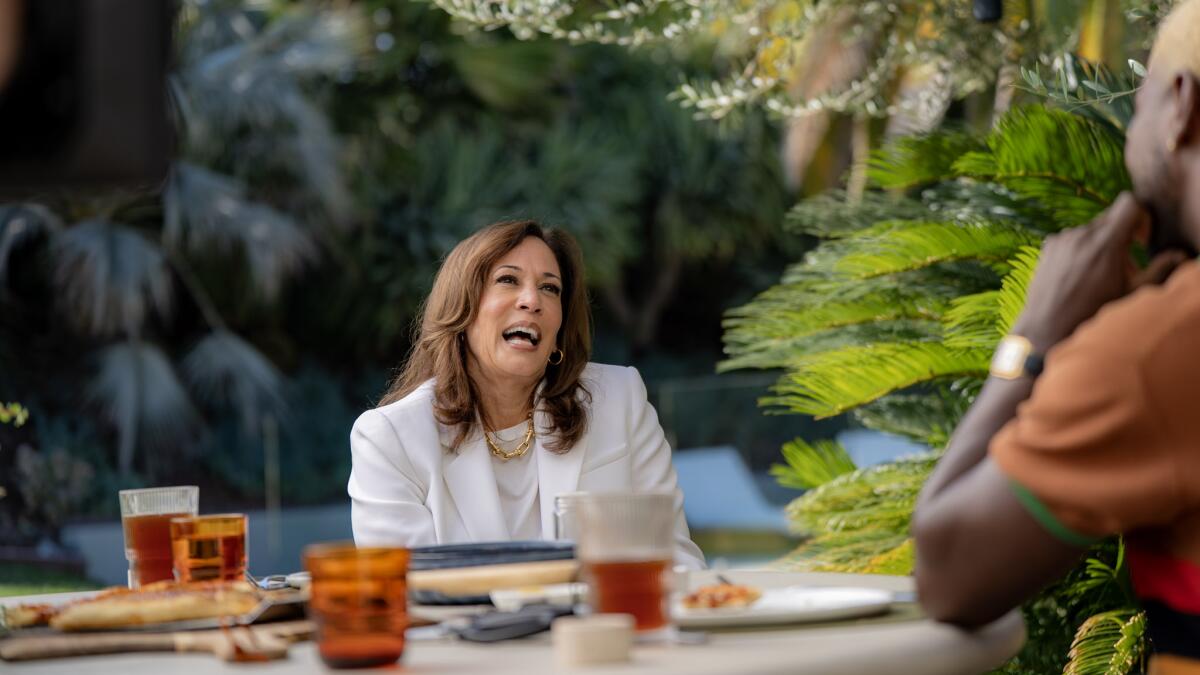 Kamala Harris Claims Her Rally Crowds Would ‘Pass’ Babies Around In Bizarre Word Salad