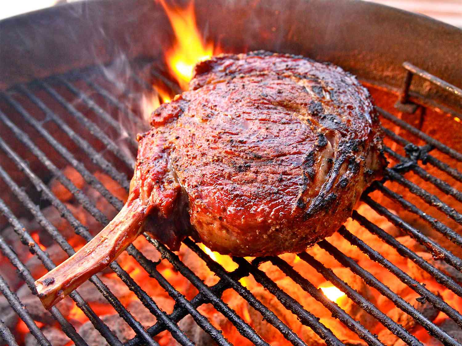 Beyond Meat Sales Plunge As Firm Is Over $1 Billion In Debt