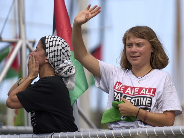 Hello, Goodbye, Again: Israel Intercepts Greta Flotilla 2.0