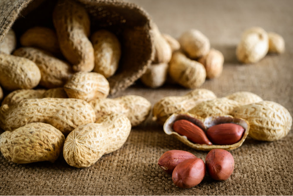 Peanut Allergies In Children Drop 43% Following Changed Guidelines