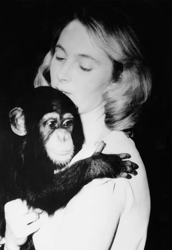 Jane Goodall, Primatologist And Chimpanzee Champion, Dies At 91