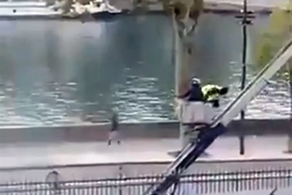 Wild New Footage Reveals Louvre Robbers’ Slow Getaway With $100M In Jewels