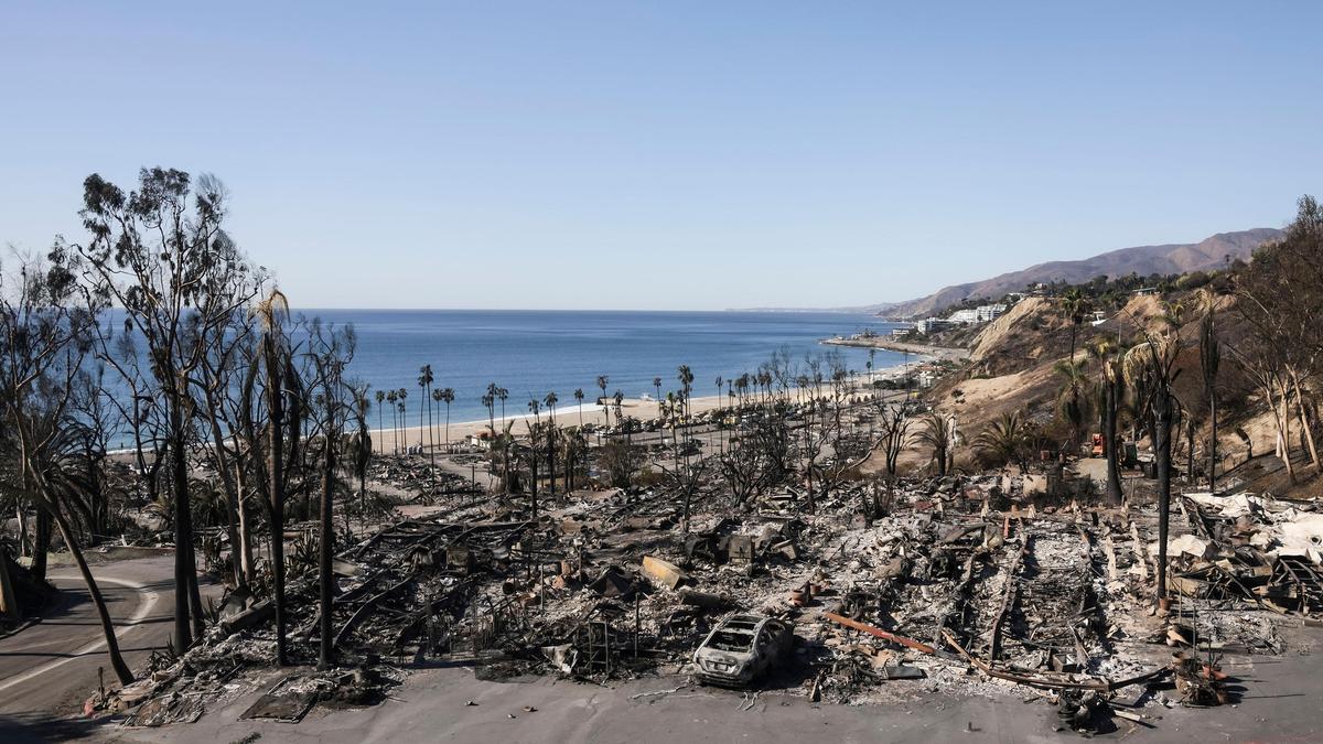 The Palisades Are Still A Wasteland Wrapped In Red Tape — A Year After Los Angeles Promised To Help Rebuild