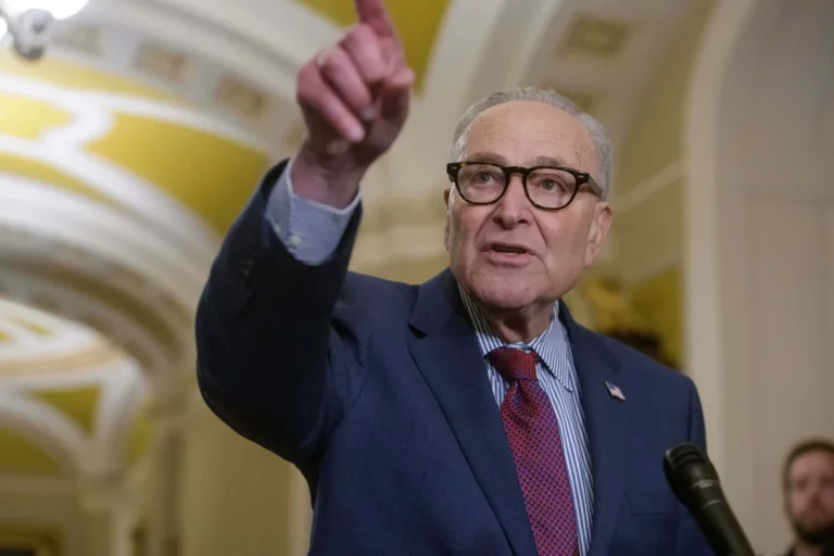 Democrats’ Plan To Shut Down ICE Funding Has Already Been Foiled