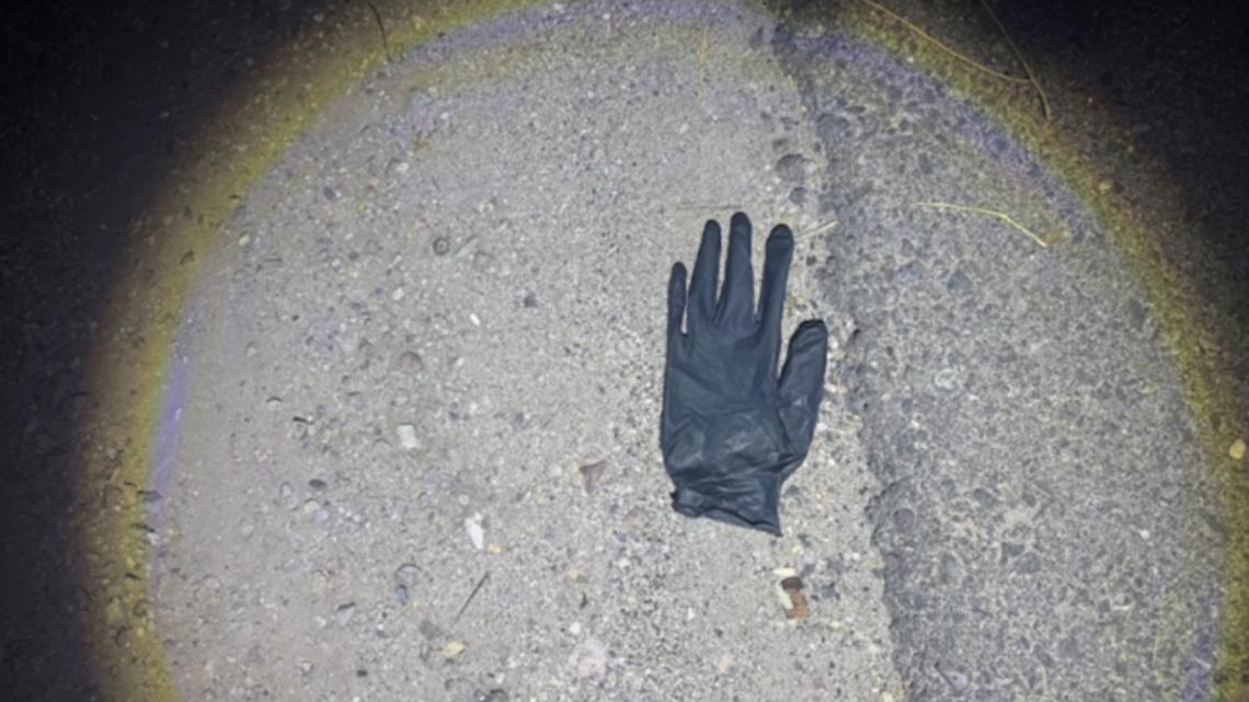Blood-Stained Gloves Reported In Guthrie Case