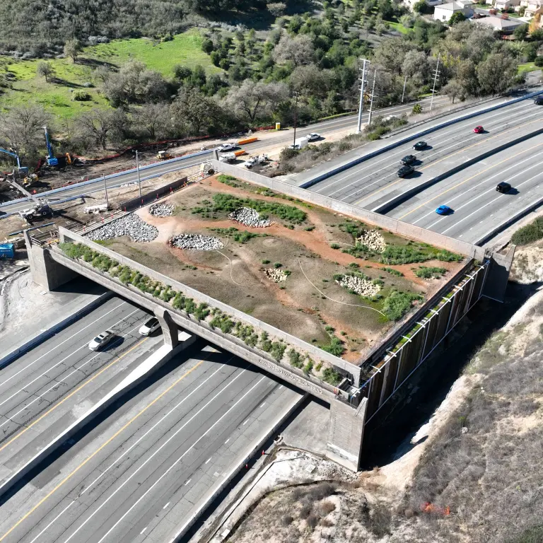 California’s Unfinished Wildlife ‘Bridge To Nowhere’ Tops $100M