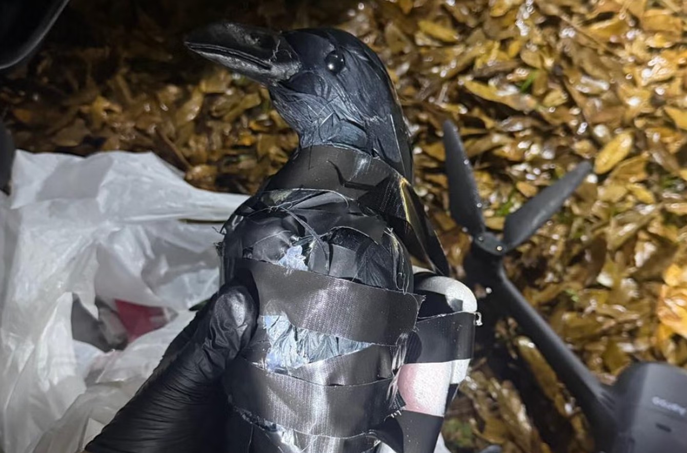Texas Women Tried To Fly Meth Into Prison Yard Using Drone Disguised As A Crow