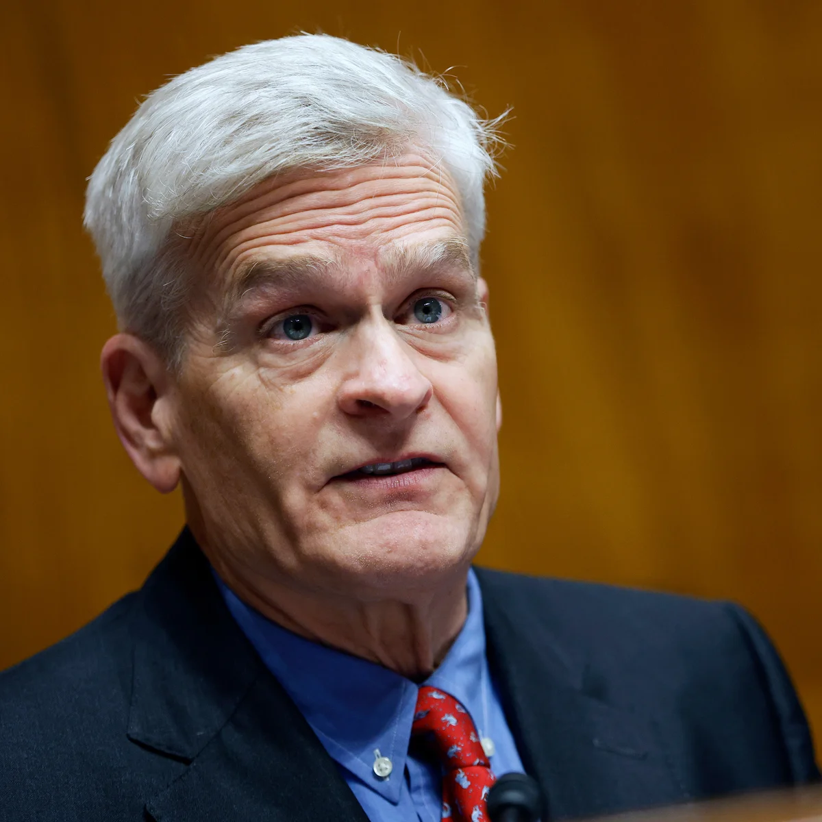 Sen. Cassidy Loses Louisiana Senate Race, Rep. Letlow, John Fleming Advance In Runoff
