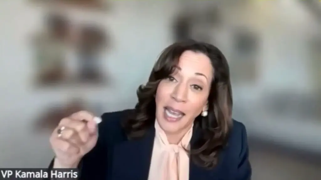Kamala Harris Torched For Progressive Wishlist: ‘Language Of Civil War’